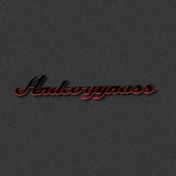AndrogynAss