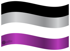 Pride - Asexual Flag Decal