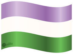 Pride - Genderqueer Flag Decal