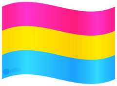 Pride - Pansexual Flag Decal