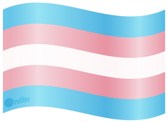 Pride - Trans Flag Decal